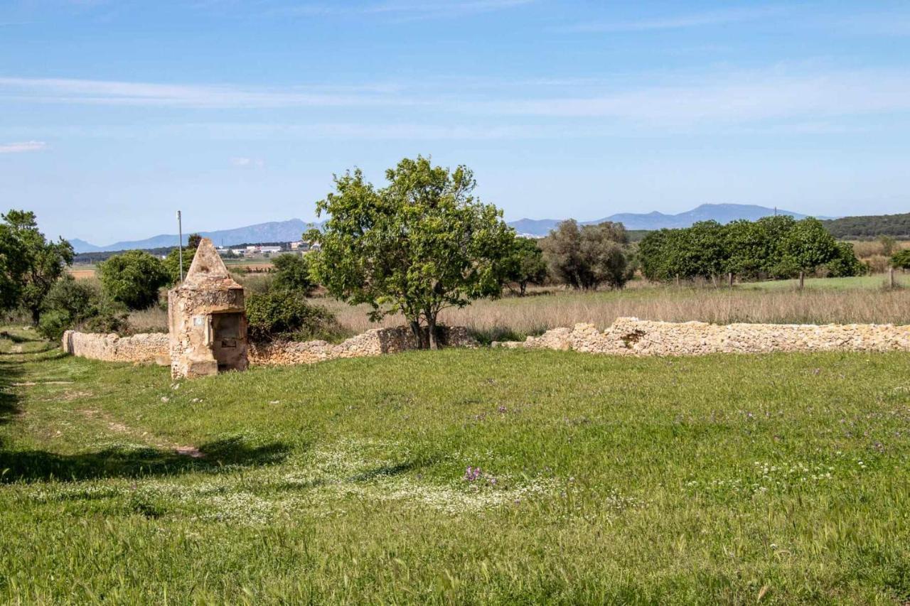 OCELLS DE MONTGRÍ apartamento rural en el Baix Empordà Sobrestany Exterior foto